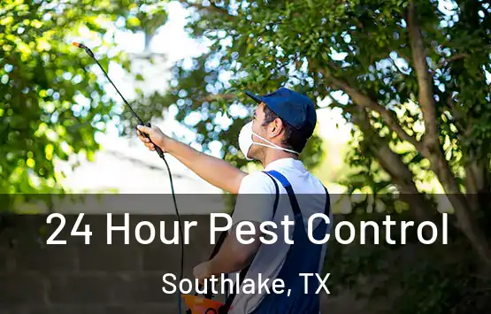  24 Hour Pest Control Southlake, TX
