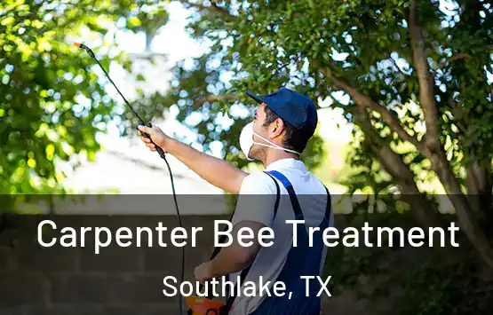  Carpenter Bee Treatment Southlake, TX