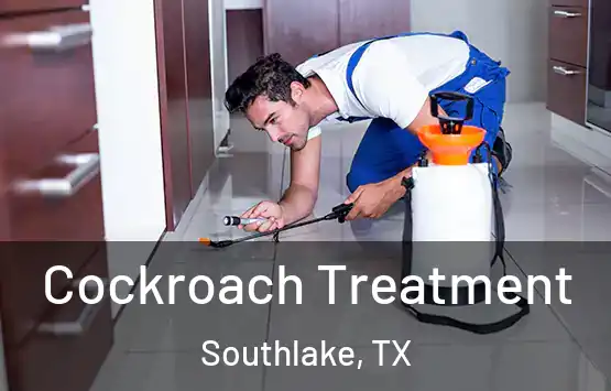  Cockroach Treatment Southlake, TX