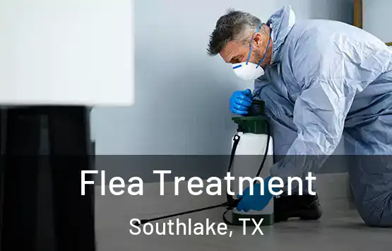  Flea Treatment Southlake, TX