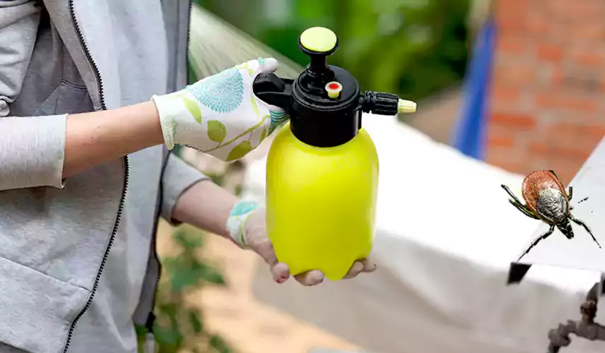 Ticks Pest Control Southlake, Texas