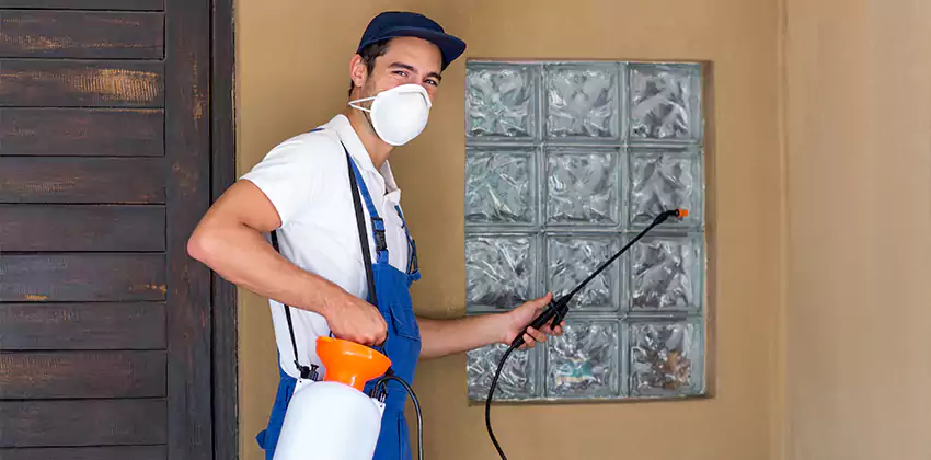 Bee Control for Bedrooms Southlake, TX