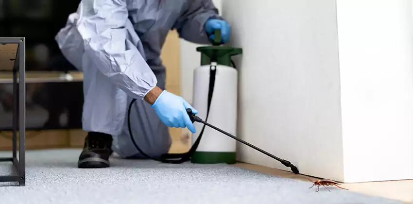 Residential Cockroach Treatment for Bedrooms in Southlake, TX