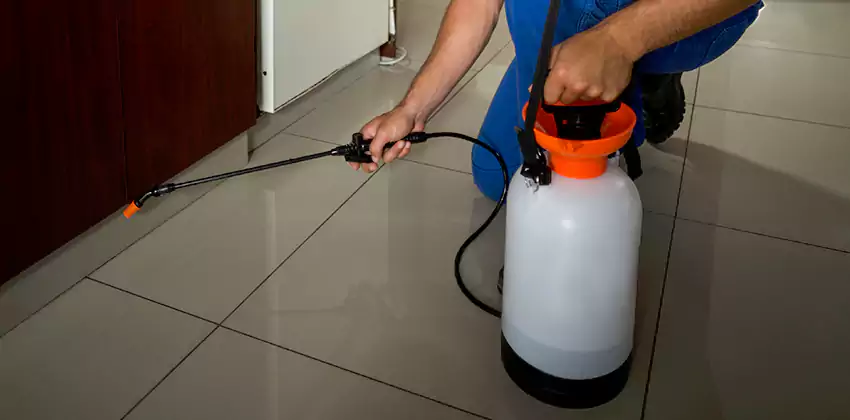 Commercial Pest Extermination for Offices in Southlake, TX