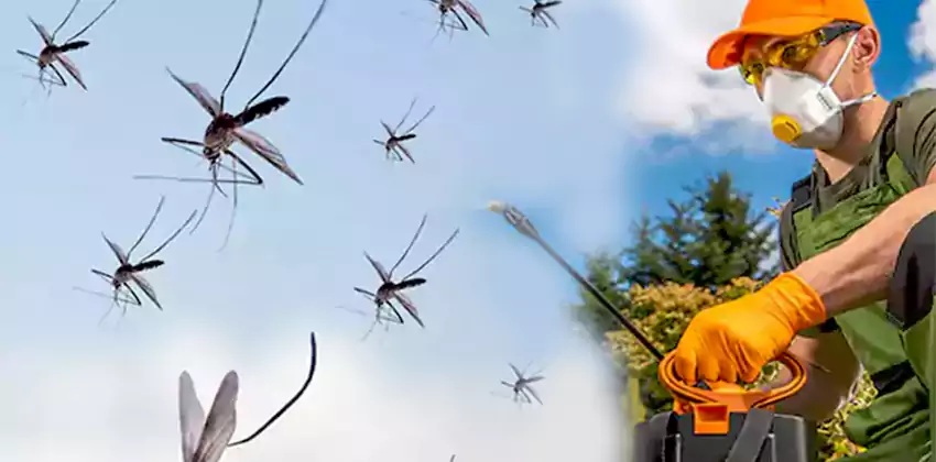 Commercial Mosquito Control Services in Southlake, TX