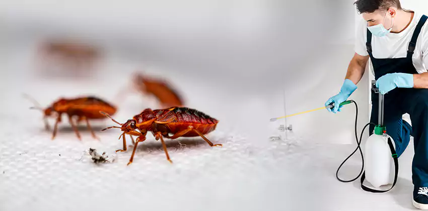 flea-control in Southlake, TX