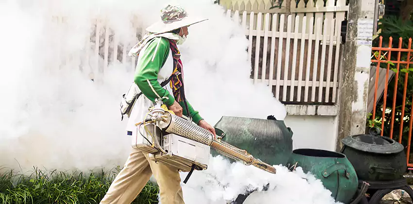 mosquito-exterminator in Southlake, TX