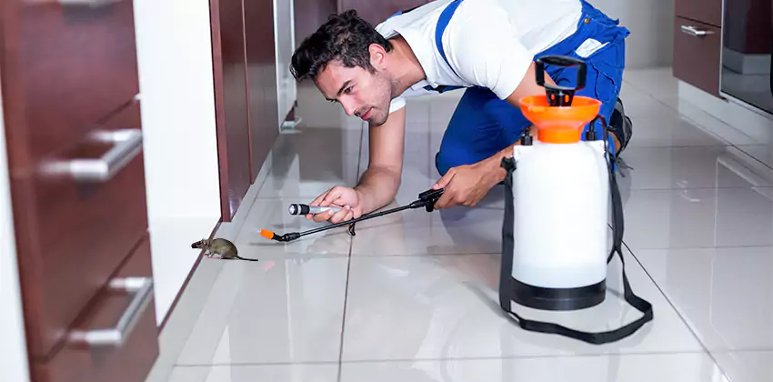 rat-inspection in Southlake, TX