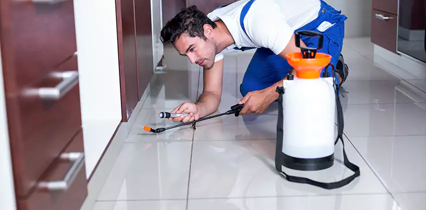 termite-exterminator in Southlake, TX