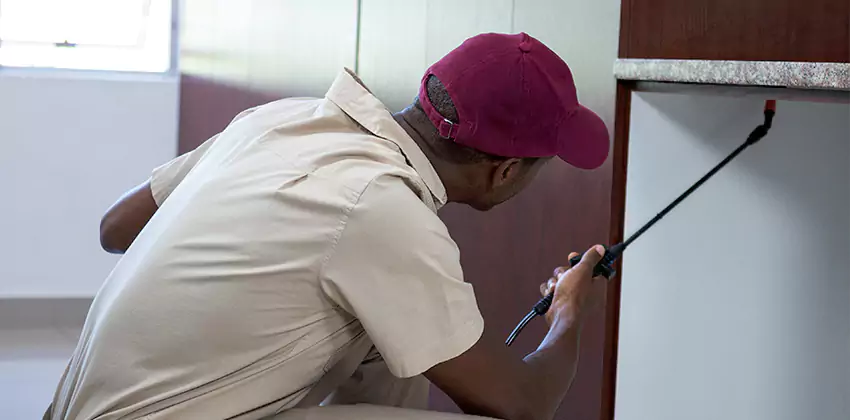 termite-inspection in Southlake, TX