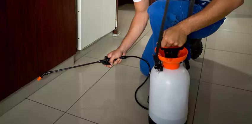 Pest Exterminator Company in Southlake, TX