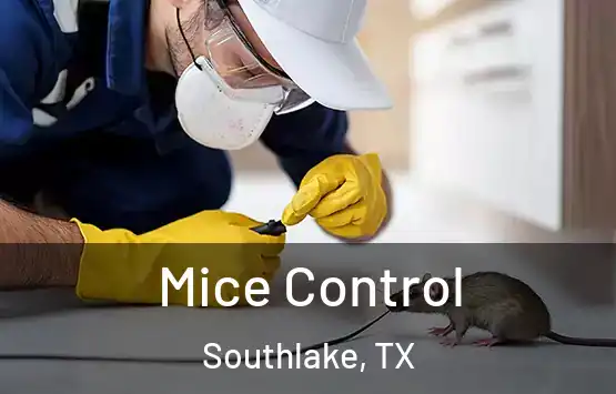  Mice Control Southlake, TX