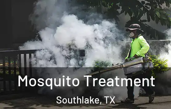  Mosquito Treatment Southlake, TX