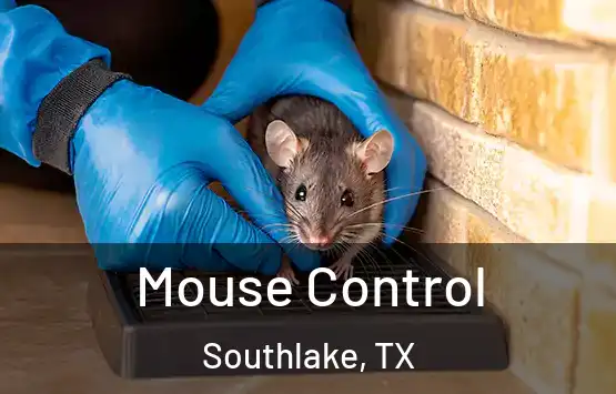  Mouse Control Southlake, TX