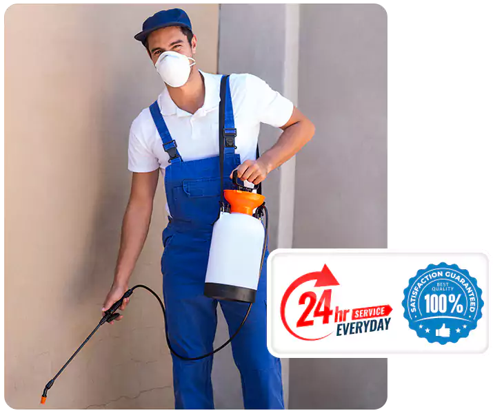 About Flea Exterminator Southlake