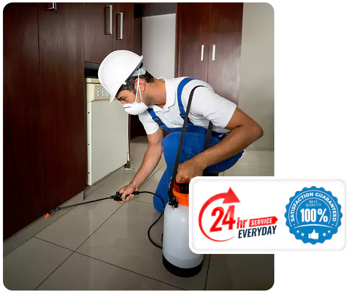 About Termite Treatment Southlake