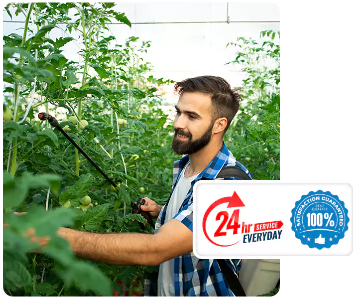 About Whitefly Treatment Southlake