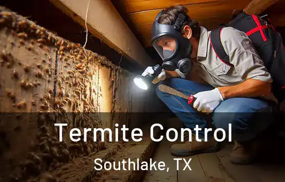  Termite Control Southlake, TX